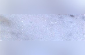 Alhar Marble