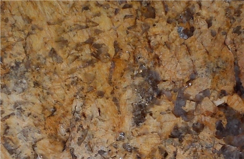 Allies Gold Granite