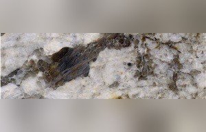 Amazon White Granite