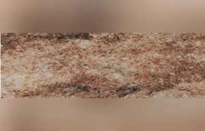 Amazonia Brown Marble