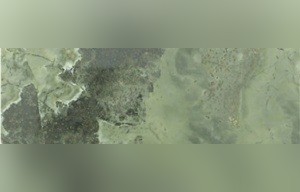 Amazonia Granite