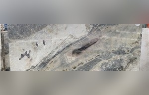 Amber Gold Marble