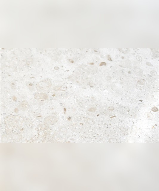 Ambra Limestone