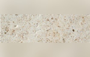 Ancient Earth Limestone