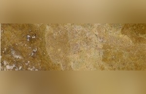 Antique Travertine