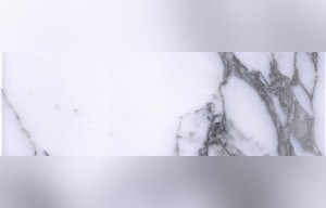 Arabescato Carrara Marble