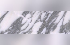 Arabescato Faniello Marble