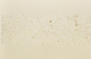 Arena Clara Limestone