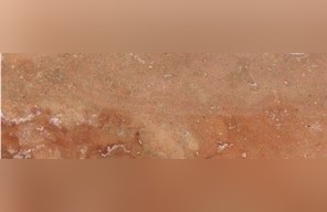 Arinea Travertine