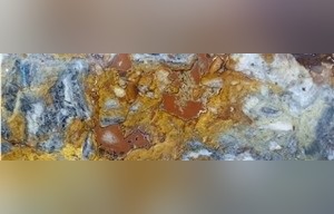Arizona Forest Granite
