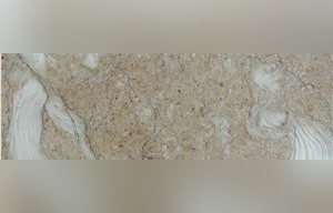 Art Fossil Limestone