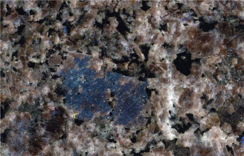 Artic Brown Granite