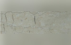 Atlantic Beige Marble