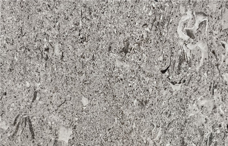 Aurisina Fioritello Limestone