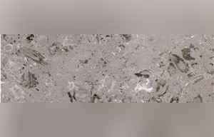 Aurisina Lumachella Limestone