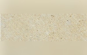 Austin Limestone