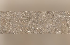 Autumn Brown Limestone