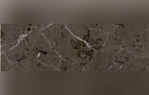 Avid Dark Grey Marble
