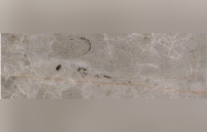 Avid Grey Marble