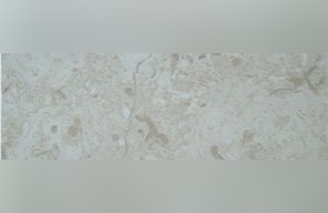 Azalea Beige Marble