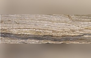 Azarshahr Walnut Travertine