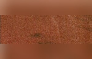 Banswara Pink Marble