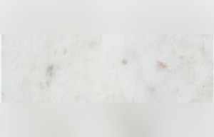 Banswara White Marble