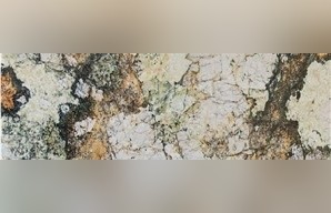 Baricatto Granite