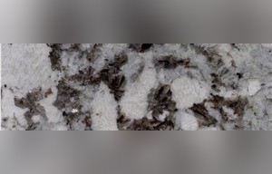 Bariloche White Granite