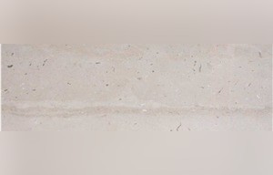 Basilica Limestone