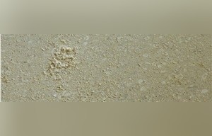 Beaulieu Limestone