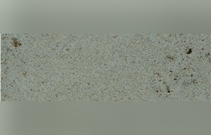 Beauvillon Limestone