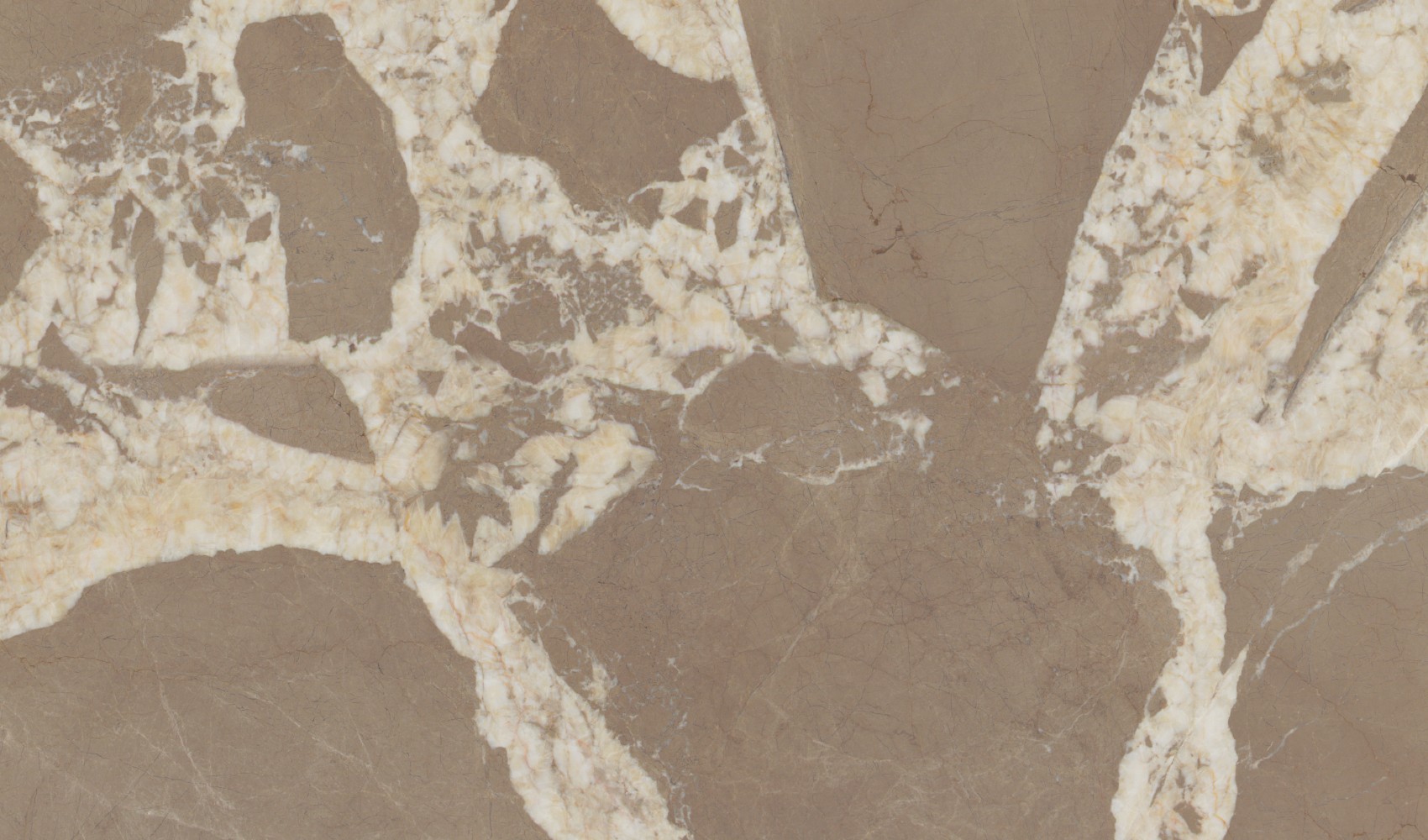 Beige Antique