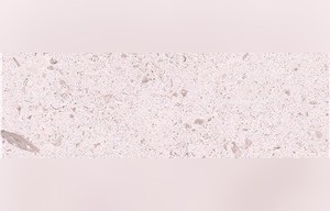 Beige Maya Limestone