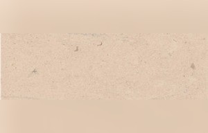 Beige Sidi Abdel Basset Limestone