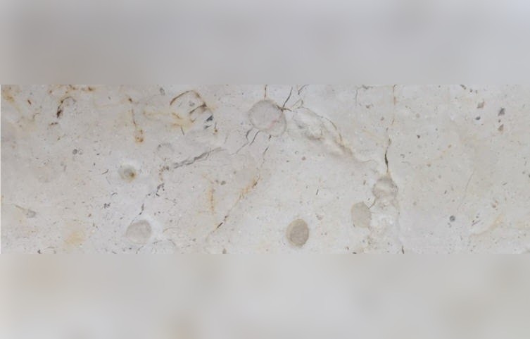 Beit Fajjar Limestone