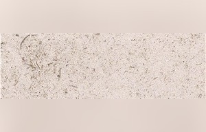 Belair Limestone