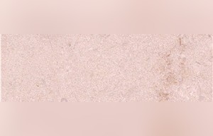 Bella Monica Marble