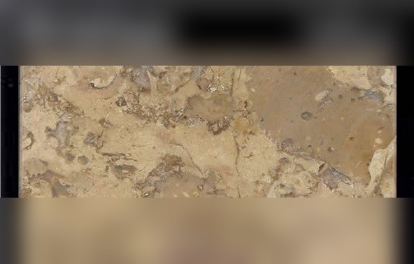 Betcheno Marble
