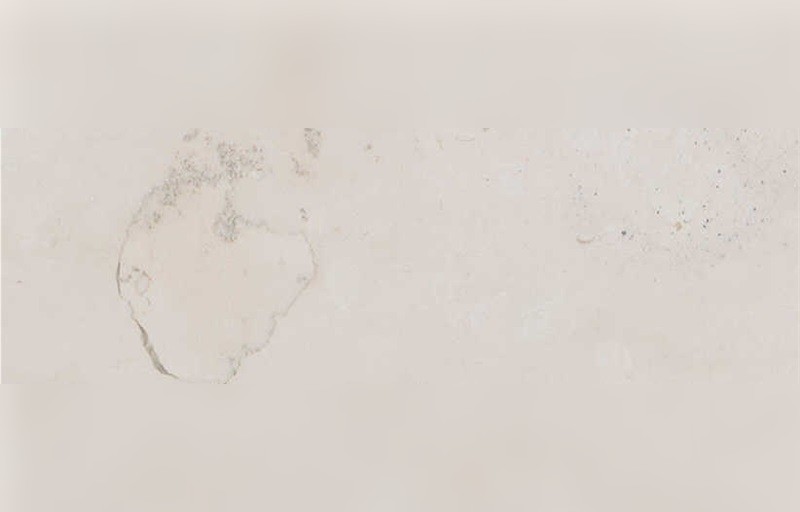 Bianco Asiago Marble