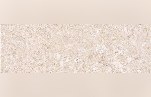 Bianco Avorio Limestone