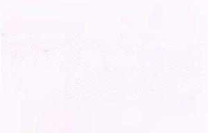 Bianco Ghiaccio Marble