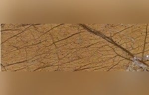 Bidasar Gold Marble