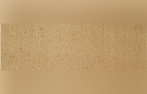 Bijolia Sandstone