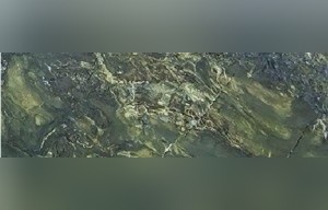 Birjand Forest Green Marble