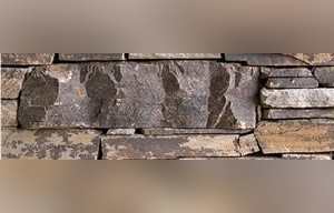 Black Gold Quartzite