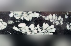 Black Peony Granite