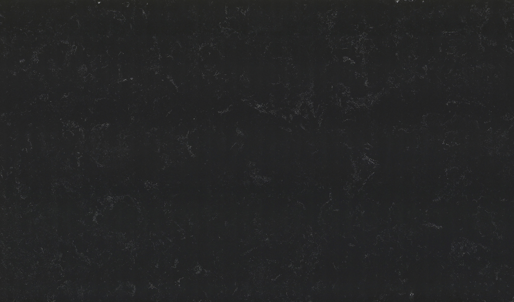 Black Perlino