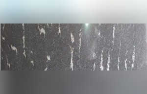 Black Snowflake Granite