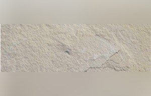 Blanco Select Sandstone